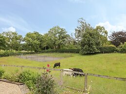 Pond View