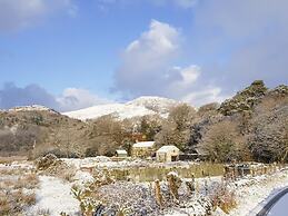 Tyn Llwyn Cornel