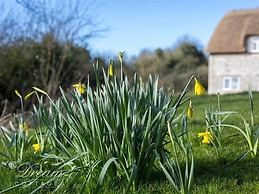 Pitt Cottage