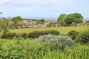 Fron Fawr