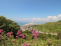 The View