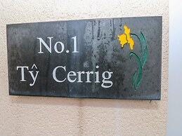 Ty Cerrig