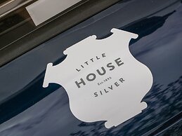 Little Silver Owl