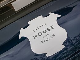 Little Silver Leaf