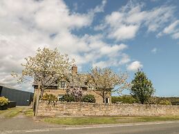 Appletree