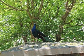 Beggars Roost