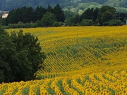 La Gurlanne