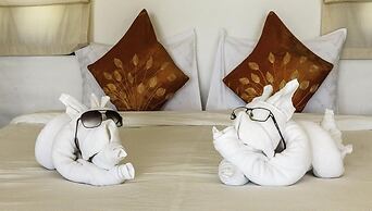 Lazy Day The Resort