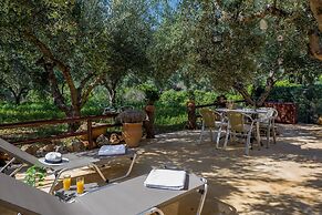 The Olive House