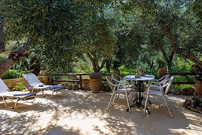The Olive House