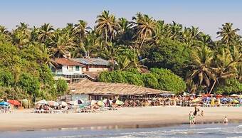Resort The Lohias