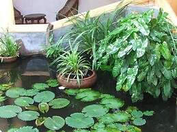Ging Oya Lodge