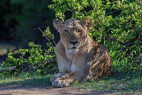 Tomo Safari Lodge