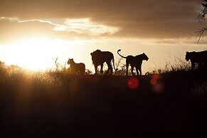 Tomo Safari Lodge