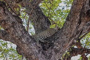 Tomo Safari Lodge