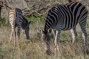 Tomo Safari Lodge