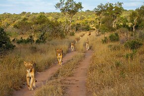 Tomo Safari Lodge