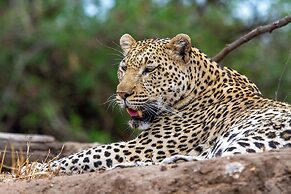 Tomo Safari Lodge