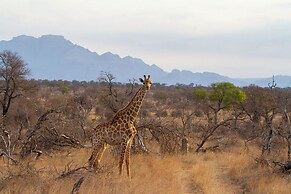 Tomo Safari Lodge