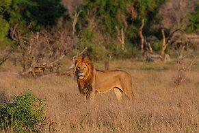 Tomo Safari Lodge