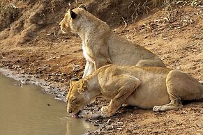 Tomo Safari Lodge