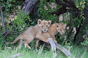 Tomo Safari Lodge