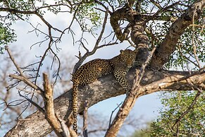 Tomo Safari Lodge
