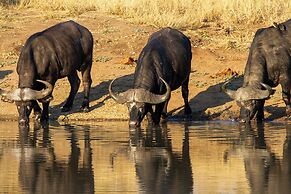 Tomo Safari Lodge