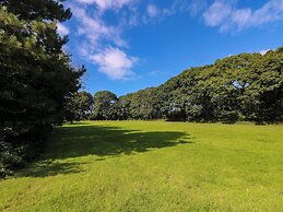 Juniper