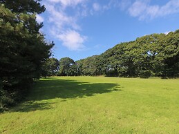 Elm