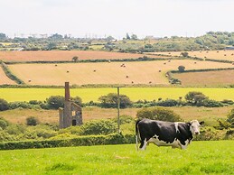 The Old Cows House