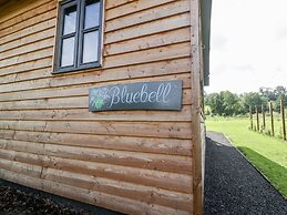 Bluebell