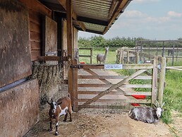 The Dairy