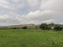 Marchlyn