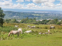 Ffynnon Bach
