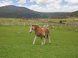 Ffynnon Bach