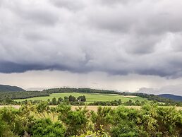 Ptarmigan