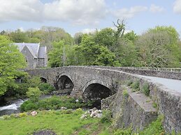 Celynfa