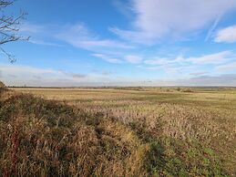 The Pinfold