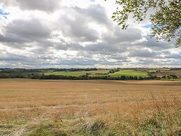 The Pinfold