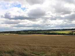 The Pinfold