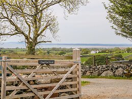 Llwyd Coed Canol
