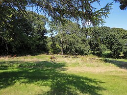 Oak