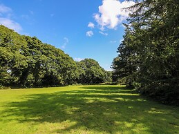 Oak