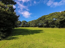 Oak