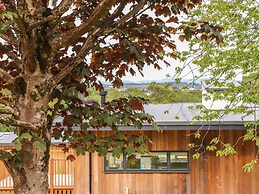 Oak