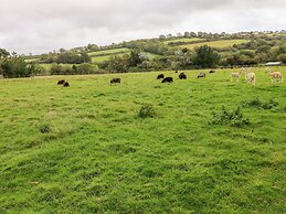 Potters Barn