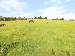 Potters Barn