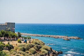 Olivia Palm Hotel