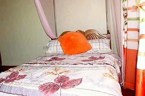 Wilbert Dreams Resort